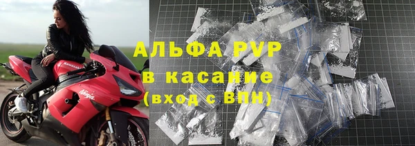 индика Волосово