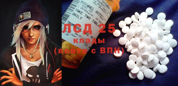 индика Волосово