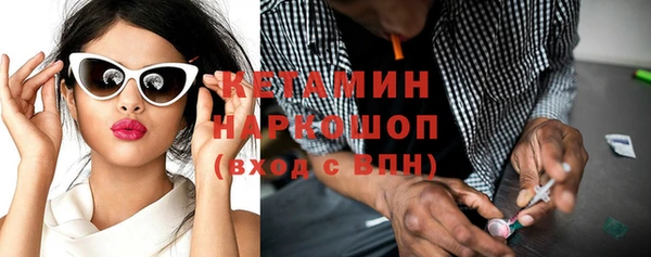 индика Волосово