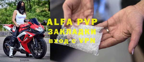 индика Волосово