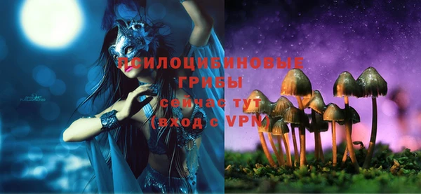 ГАЛЛЮЦИНОГЕННЫЕ ГРИБЫ Волоколамск