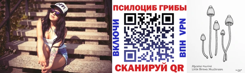 Галлюциногенные грибы прущие грибы  Владимир 